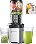 Entsafter AMZCHEF, Saftpresse Elektrisch für Gemüse & Obst, Slow Juicer 136mm, Cold Press Juicer mit 2 Filtern, Silber, Leise & Leicht zu Reinigen