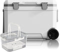 Kühlbox, WISD 45L mit Rollen und Griff, Große Camping mit Metallverschlüssen & Ablaufstopfen, Robuste Passive für Picknick, Angeln & Outdoor