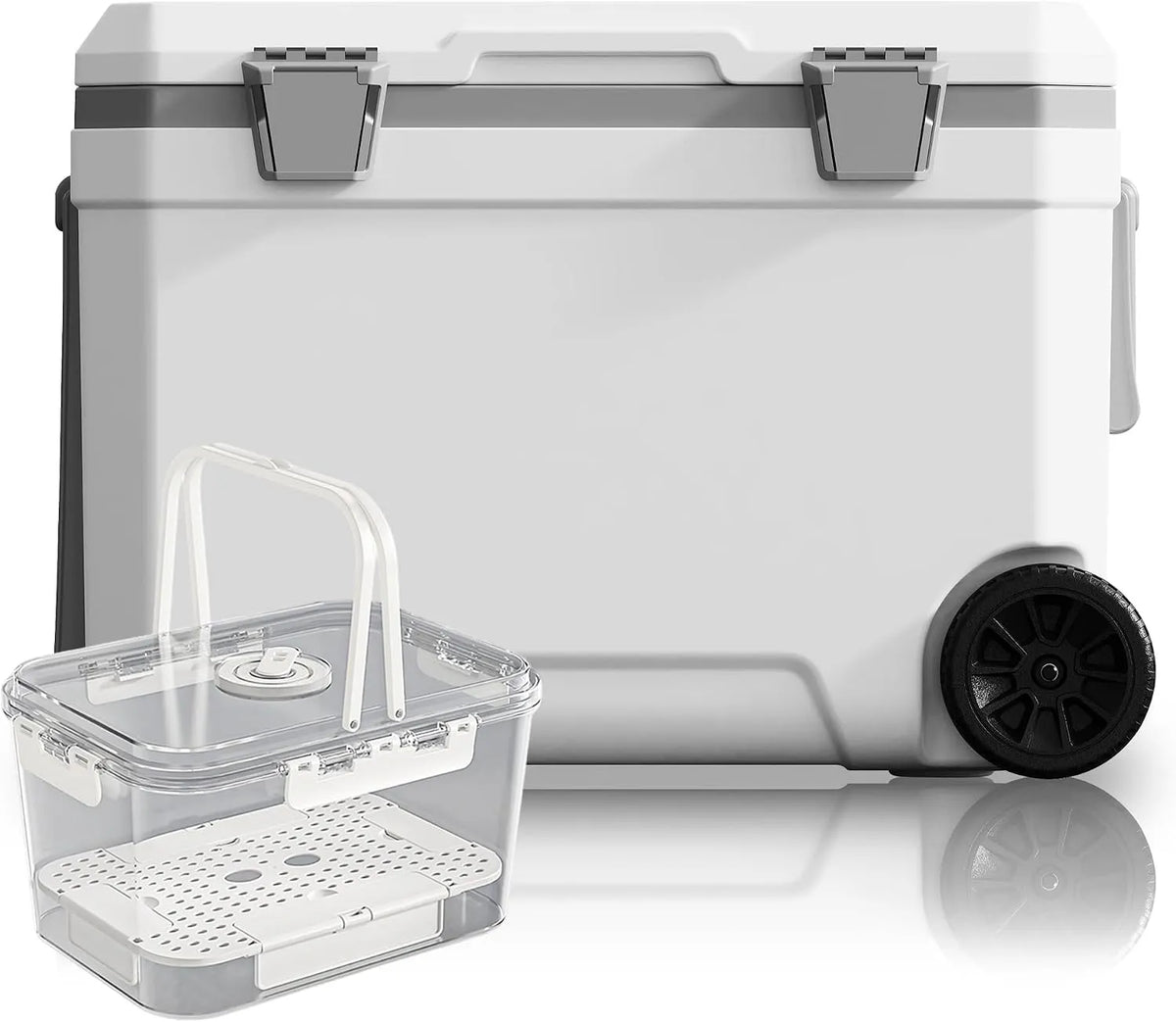 Kühlbox, WISD 45L mit Rollen und Griff, Große Camping mit Metallverschlüssen & Ablaufstopfen, Robuste Passive für Picknick, Angeln & Outdoor